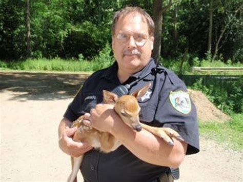 Kalamazoo animal control - Best Wildlife Control. We've been voted Kalamazoo's best wildlife removal company the past two years! Free Estimate 269-351-1403. ... Our animal control experts also handle the removal of animals like groundhogs, moles, and squirrels that destroy lawns, gardens and landscaping. Our team of experts are available 24/7 for emergency wildlife ...